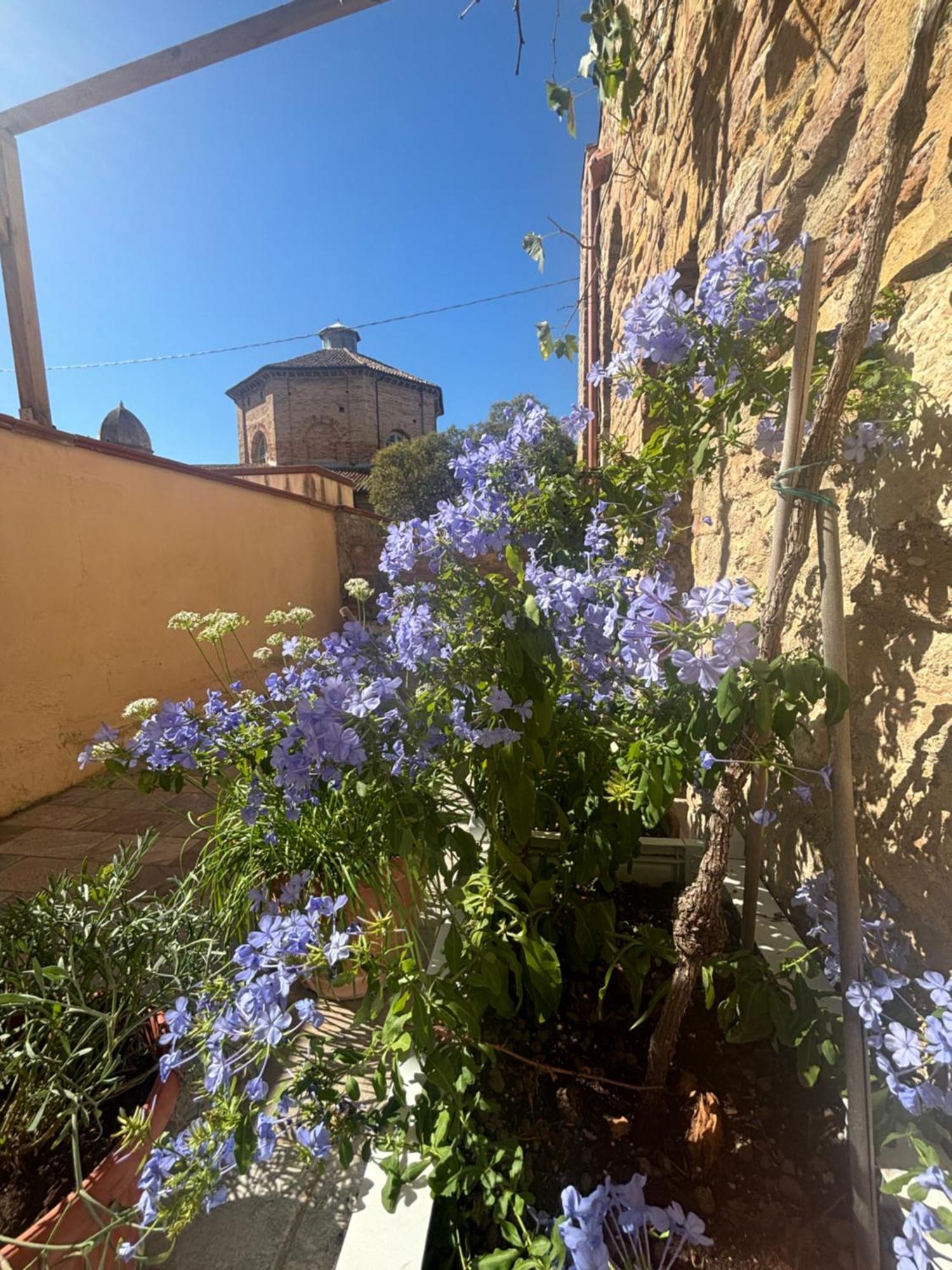 Domus Mirabilis Homestay Ancona Eksteriør billede